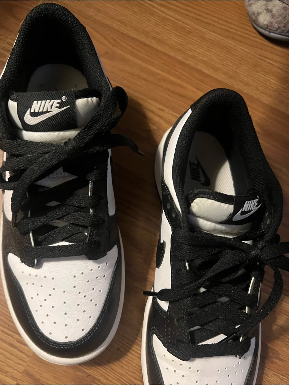 Nike Dunk Low kids